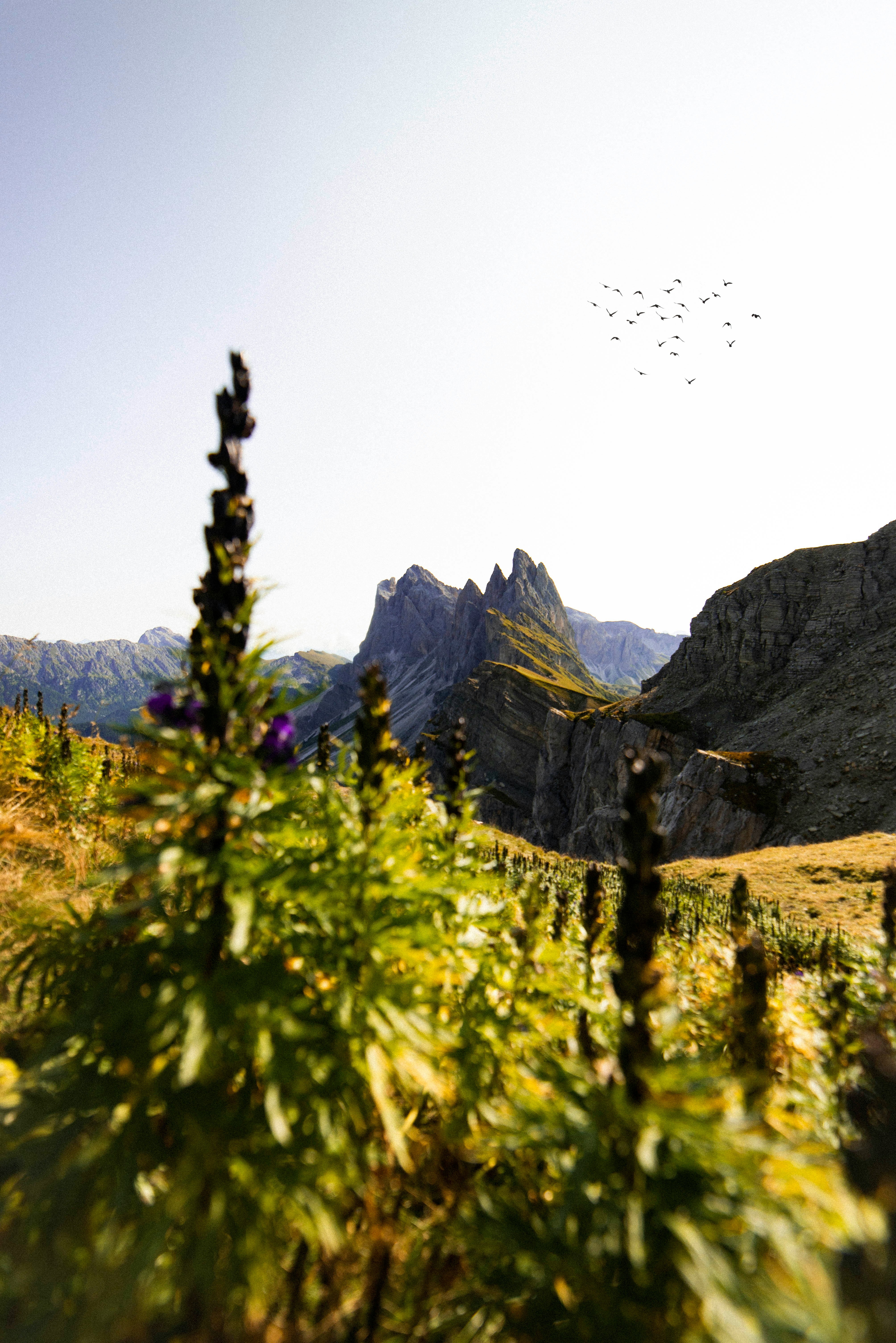 green grass field near mountain during daytime